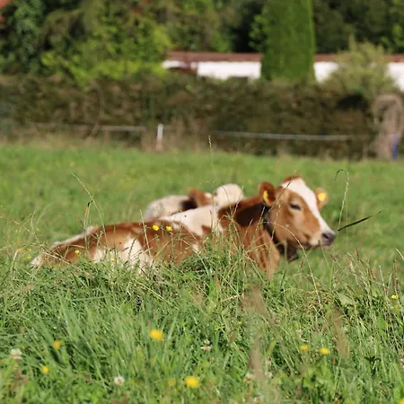Apartmán Erholung Am Lehmooserhof