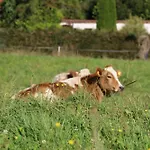 Lejlighed Erholung Am Lehmooserhof